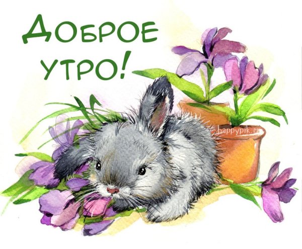 С добрым утром вторника