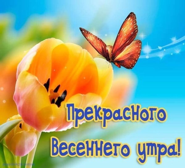 Пожелания с добрым весенним утром