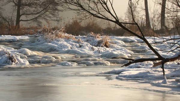 Ранняя Весна