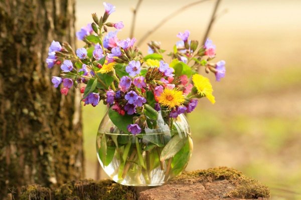 Цветы в кувшине