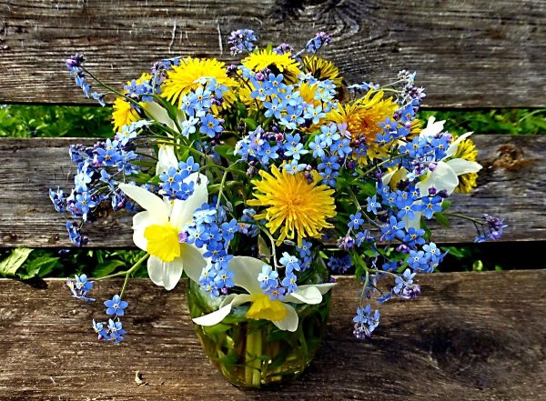 Подснежники Поляна подснежников сиреневые