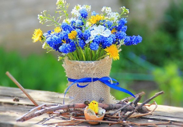 Луговая растительность