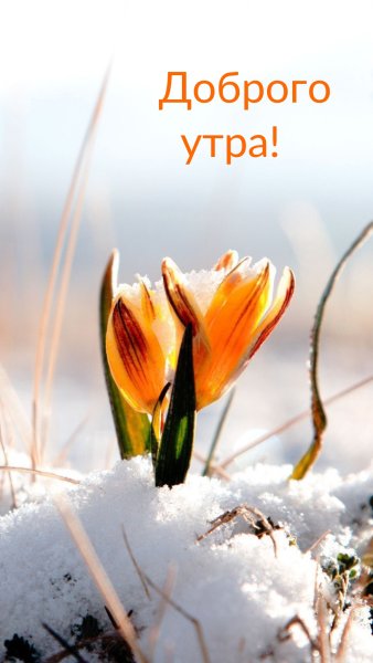 Весна март
