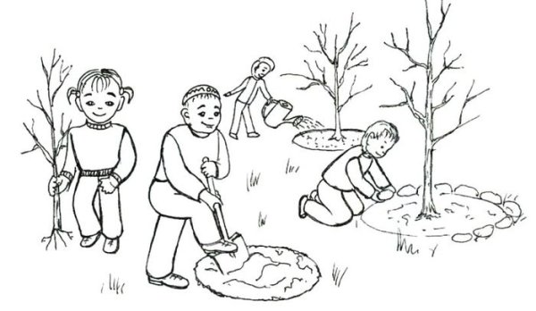 Белить деревья