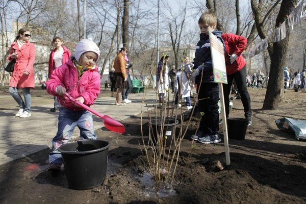 Гармония природы