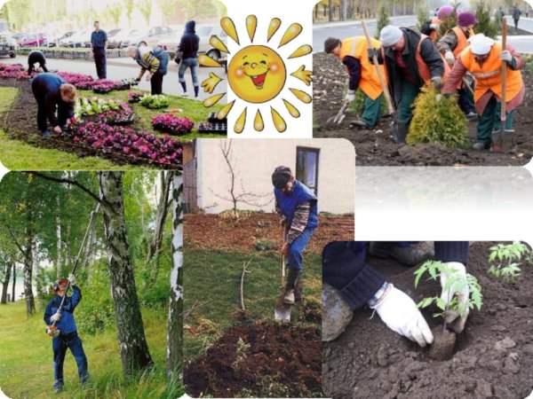 Занятия людей осенью