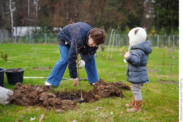 Дети радость жизни