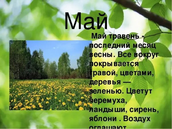Стихи о марте месяце