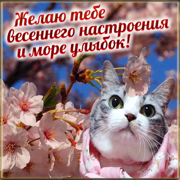 Весеннее настроение юмор