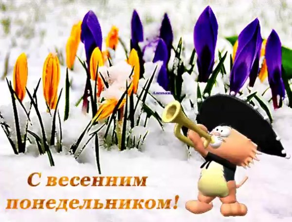 С весной прикольные