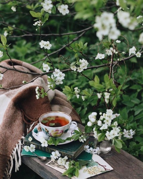 Весеннее утро и кофе