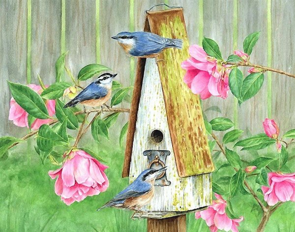 Художница Джейн Shasky