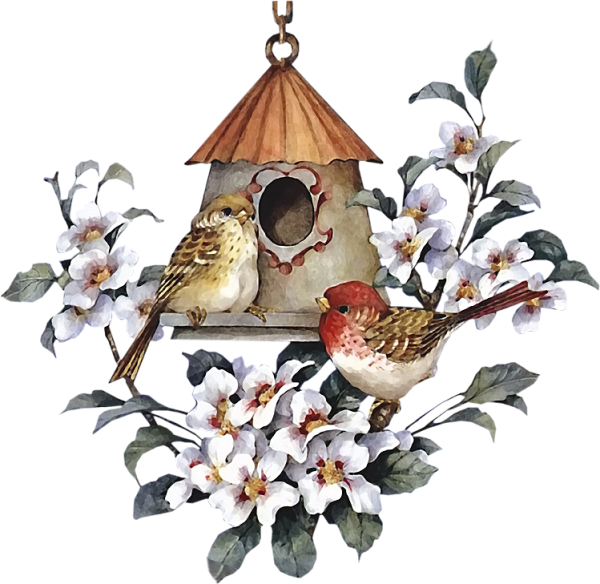 Весенниемптицы на белом фоне