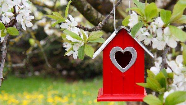 Атрибуты весны