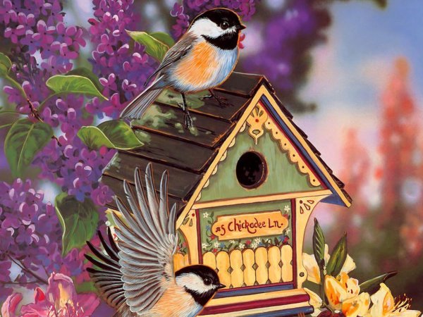 Весна птички дом