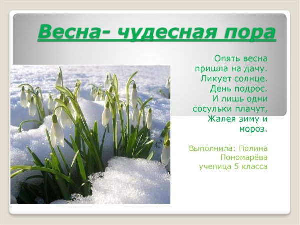 Весенняя презентация