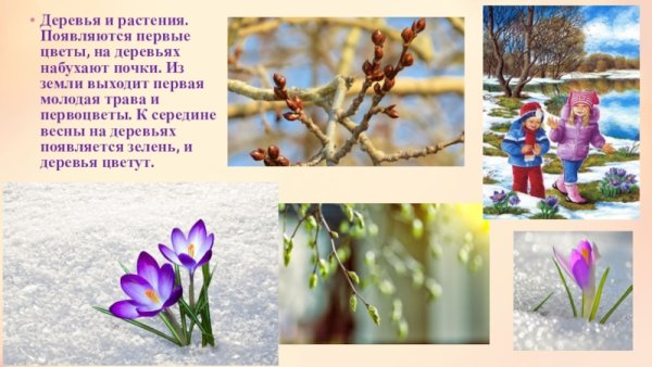 Слайд Весна