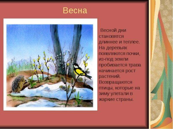 Весна презентация