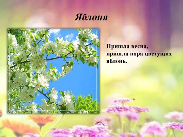 Слайд Весна