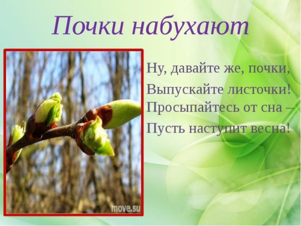 Стихи о весенн х листьях