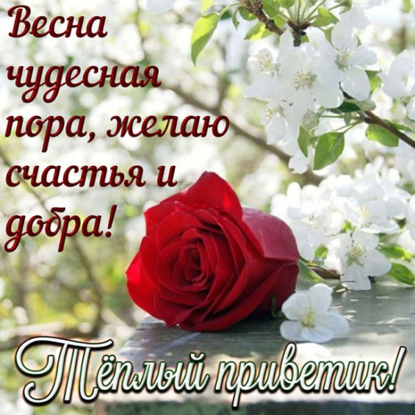 Весенние пожелания