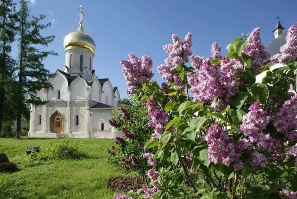 Храмы сирень в Москве