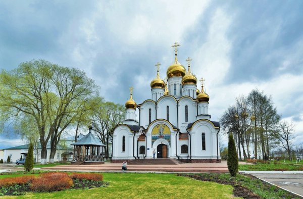 Дивеево сирень