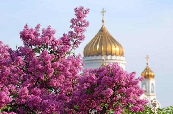 Собор Псков Весна