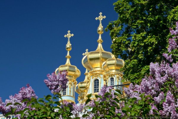 Красивый храм весной