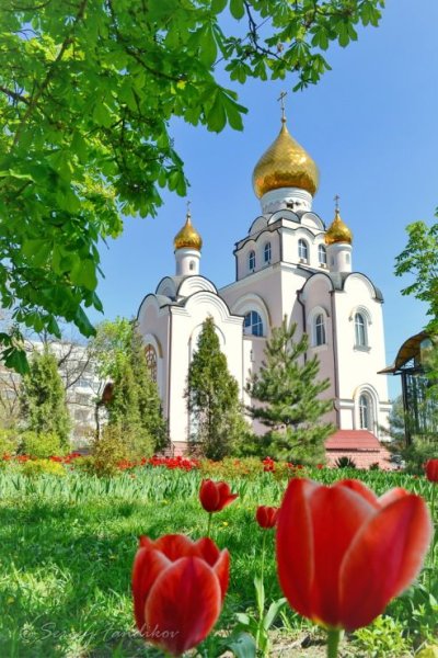 Православная Весна