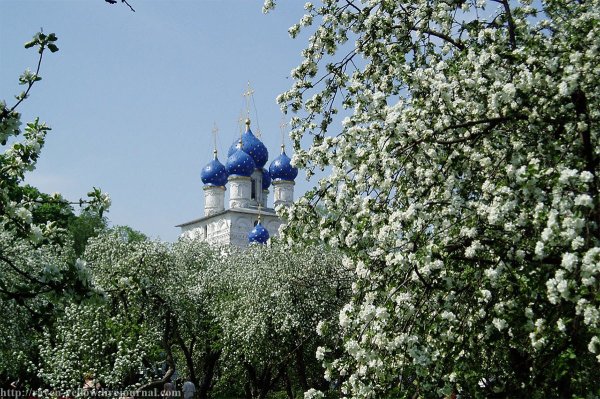 Купола Церковь в сирени