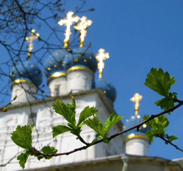 Купола церкви Новотроицк