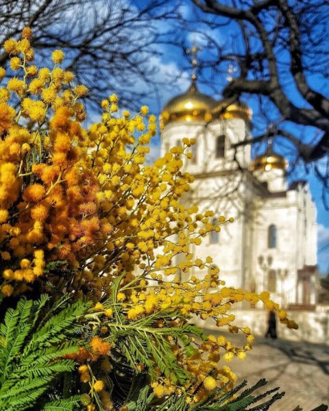Дивеевский монастырь природа