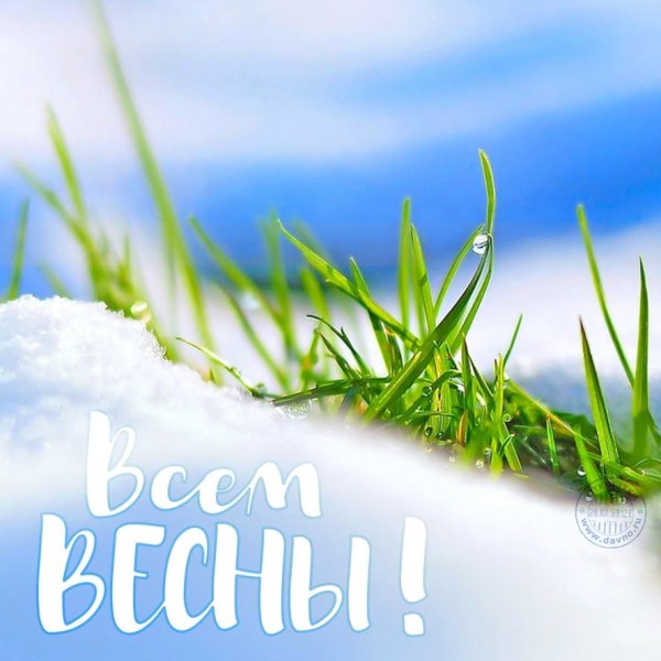 С первым днём весны картинки