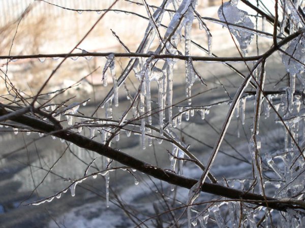 Дождливая Весна в городе