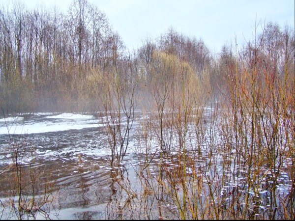 Поздняя осень слякоть