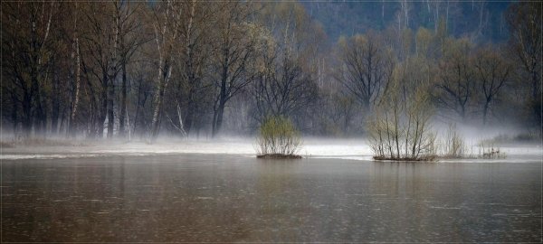 Дождь ранней весной