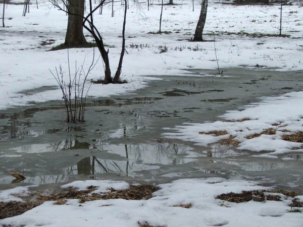 Холодный и дождливый день