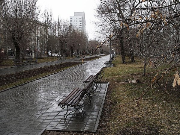 Ранняя зима в лесу