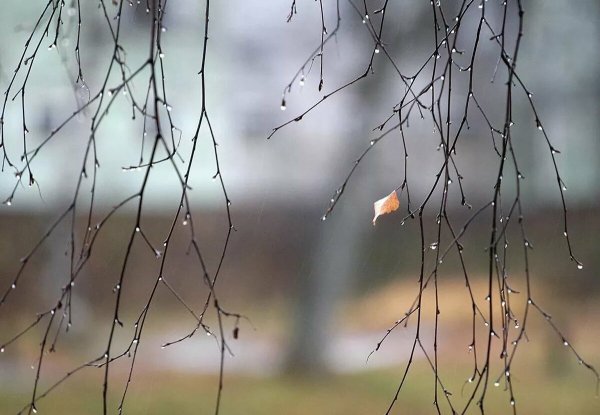 Пейзаж весенние лужи