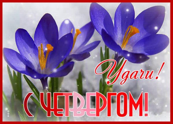 Доброго весеннего четверга