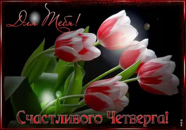 С самым добрым утром весны