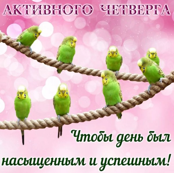 Доброе Весеннее утро четверга