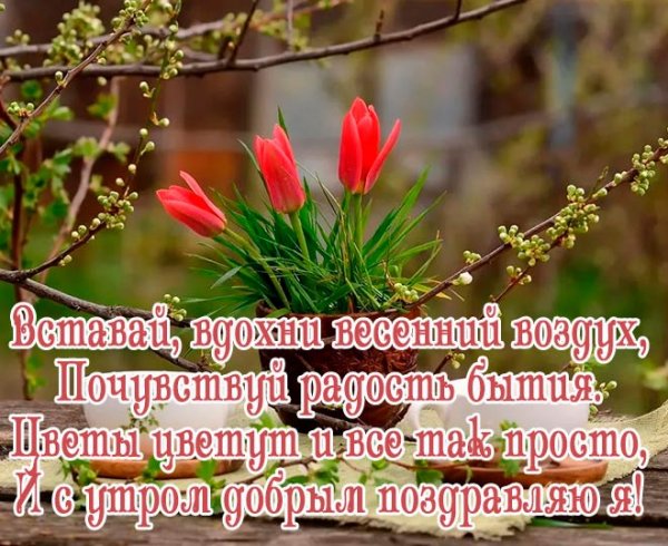 Весенний привет открытки