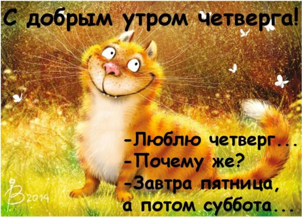 Пожелания с добрым весенним утром
