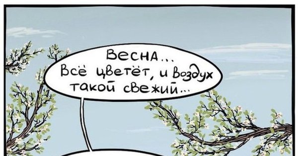 Аллергия прикол