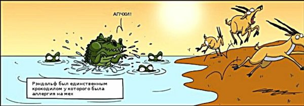 Приколы про аллергиков