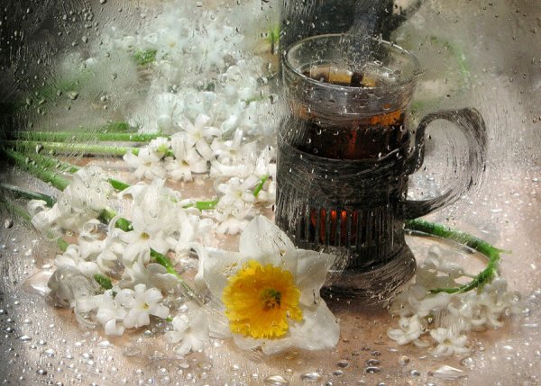 Доброе дождливое утро