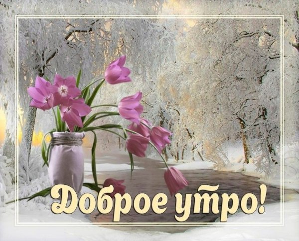 Доброе дождливое утро весны