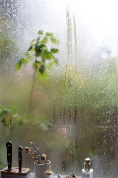 Летний дождь за окном